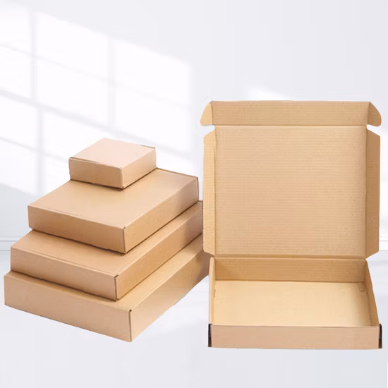 Logo personnalisé Pliable Biodégradable 3 plis E-Flute Carton ondulé Papier kraft Vêtements Chaussures Bijoux Emballage / Expédition / Emballage Mailer Boîte en carton cadeau